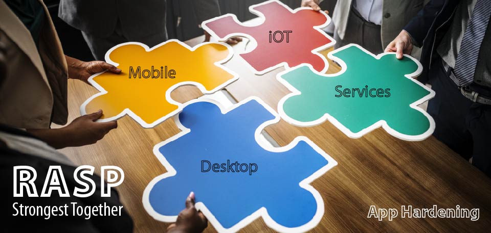 RASP puzzle - iOT, Services, Mobile, Desktop